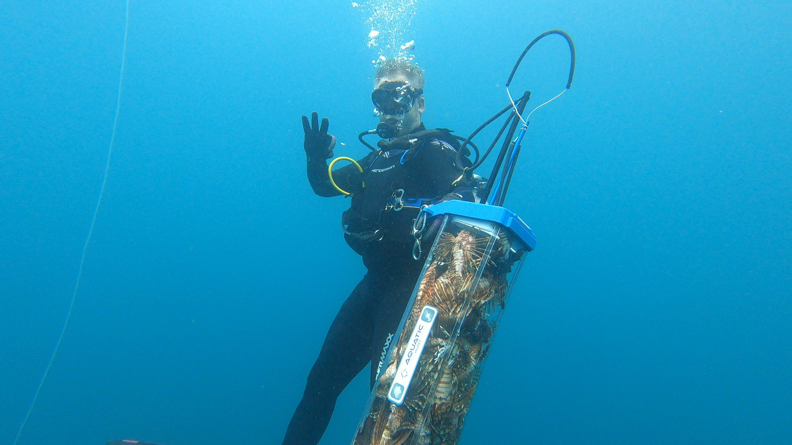 Diver underwater with containment tube after lionfish removal